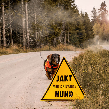 Varningstriangel- drivande hund